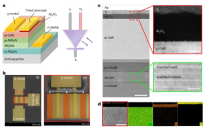 中国科大孙海定教授和阿基米德半导体首席科学家刘胜院士Nature Electronics封面论文: 发明新型氮化镓光电二极管